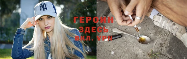 индика Козельск