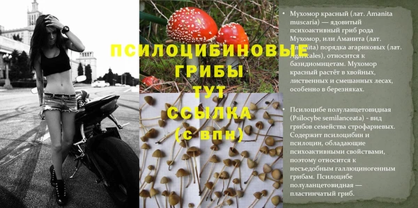 меф VHQ Инта