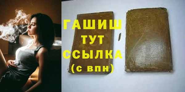 индика Козельск