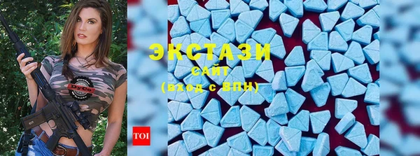 гидра Тайга