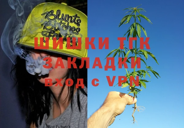 гашик Зерноград
