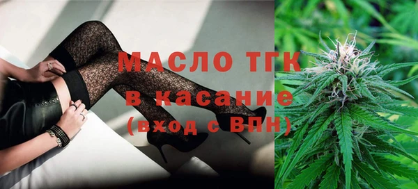 индика Козельск